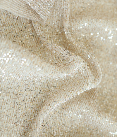 Alexa Sequins Embroidery Fabric